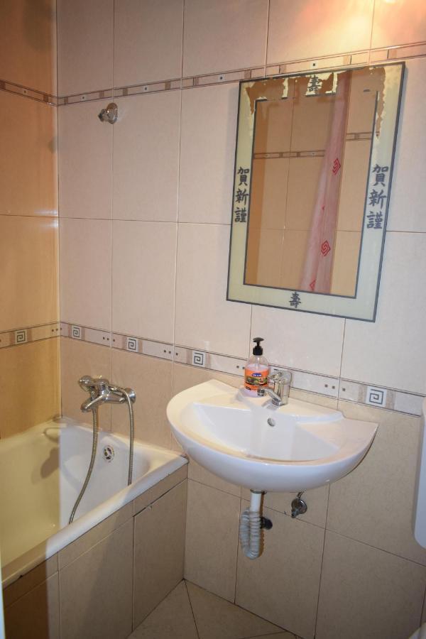 Apartament Transilvaniei Rhbm Бая-Маре Екстер'єр фото